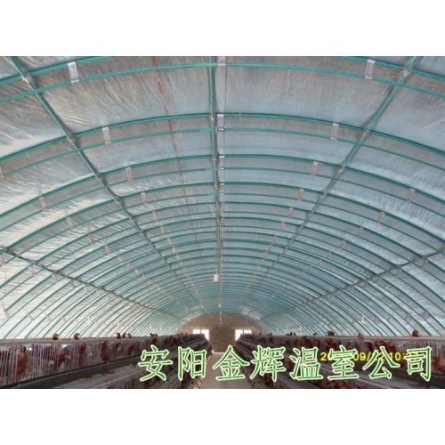 其他畜牧业副产品，安阳养殖大棚骨架，食用菌大棚建造，养鸡大棚建设，安阳金辉公司-- 安阳市金辉温室工程有限公司