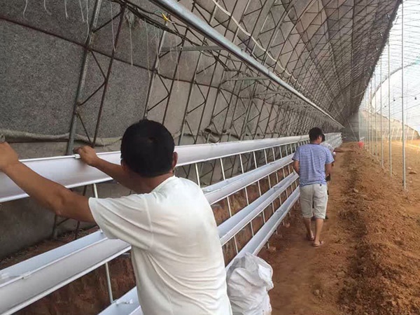 壁挂式草莓槽-- 藁城区泽阳草莓立体种植设备有限公司