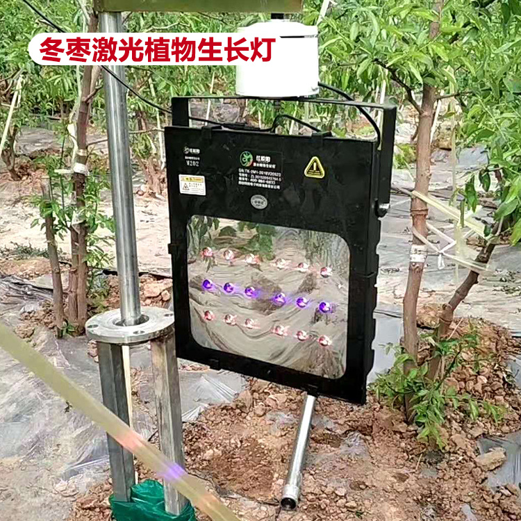 冬枣大棚植物补光灯